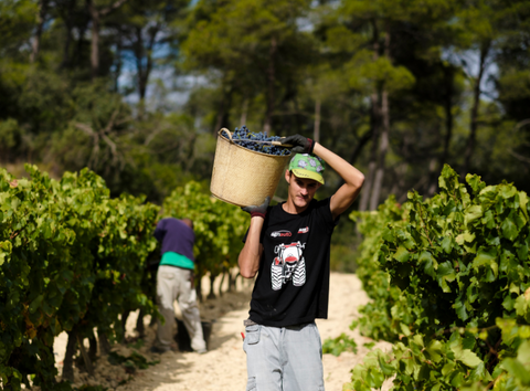 Sa Natura: el encanto ecológico de la Terra Alta