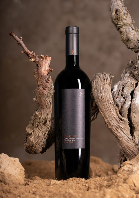 Navidad: ¿Qué vinos regalar? ¡Descubre nuestros vinos!