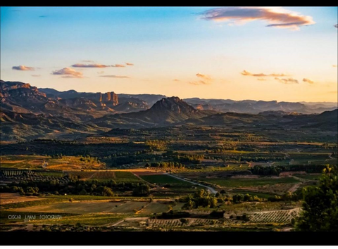 Esta Navidad, vive el enoturismo en la Terra Alta