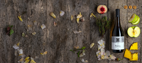 Gama portal de Celler Piñol: los vinos de Terra Alta que debes probar