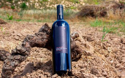 El reconocido premio de la D.O Terra Alta para nuestro vino Avi Arrufi Negre